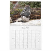 Gorilla_018, Gorilla Kalender (Mär 2027)