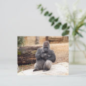 Gorilla_019 Postkarte (Stehend Vorderseite)