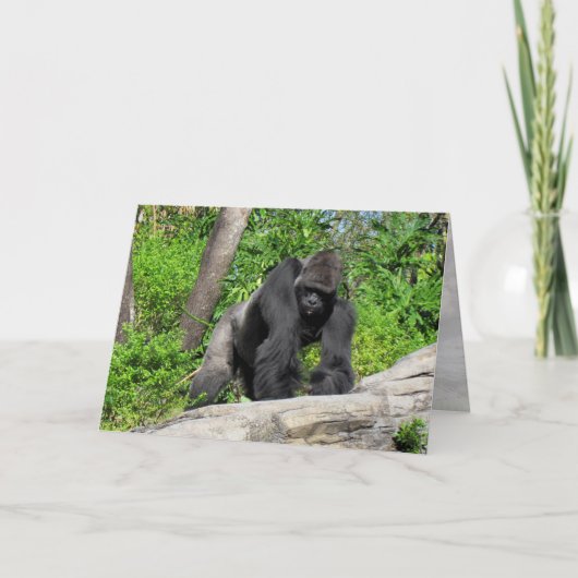 Gorilla (0536) Grußkarte Karte (Vorderseite)