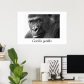 Gorilla-#1 Gorilla Gorilla Gorilla Poster (Heimbüro)