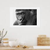 Gorilla #1 poster (Küche)