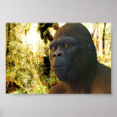 Gorilla 2 poster (Vorne)