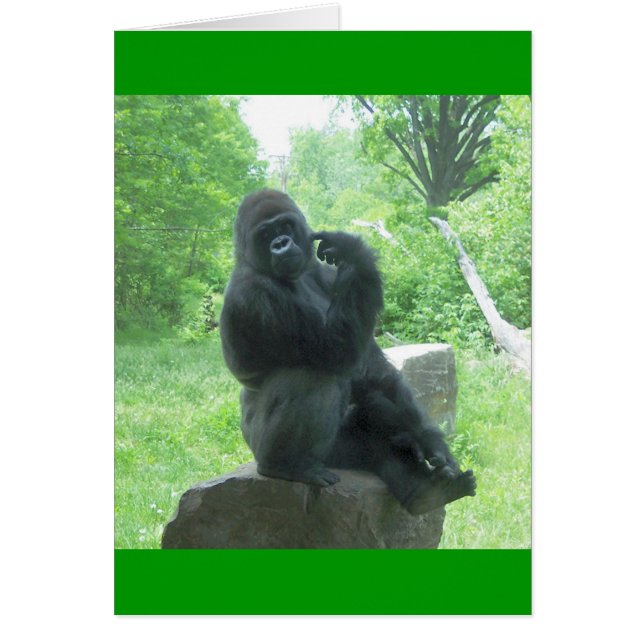 Gorilla #3 (Vorne)