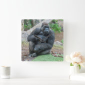 Gorilla an der Zooquadrat-Wanduhr Quadratische Wanduhr (Zuhause)