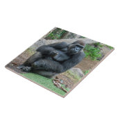 Gorilla auf der Keramik Zoo Fliese (Seite)