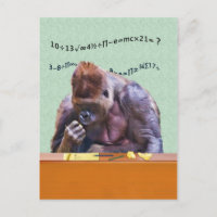 Gorilla auf der Postkarte