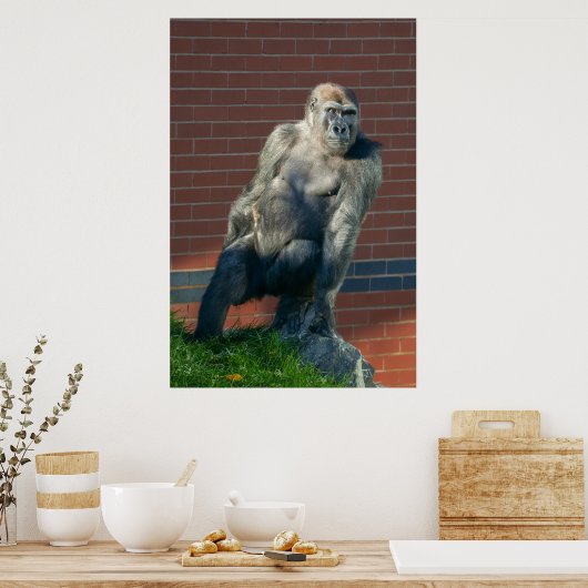 Gorilla auf einem Felsen Poster (Küche)
