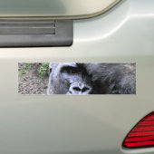 Gorilla_ Autoaufkleber (Auf Auto)
