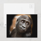 Gorilla Baby lächeln Postkarte (Vorne/Hinten)