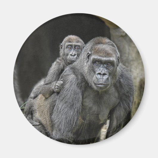 Gorilla & Baby Magnet (Vorne)