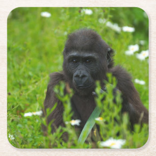 Gorilla Baby versteckt sich im Gras Rechteckiger Pappuntersetzer