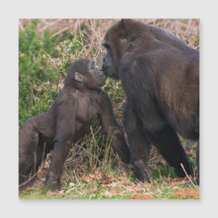 Gorilla Baby's Affektionate for Mum Magnetkarte