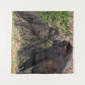 Gorilla Baby's Affektionate for Mum Wandteppich (Vorderseite (Horizontal))
