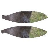 Gorilla Basketball (Panele)