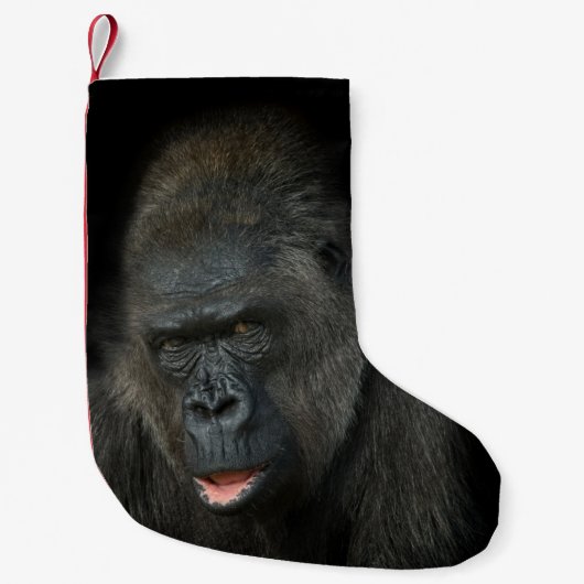 Gorilla Biddy Christmas Strumpf Kleiner Weihnachtsstrumpf (Vorderseite)