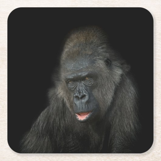 Gorilla Biddy Classic Rechteckiger Pappuntersetzer (Vorderseite)