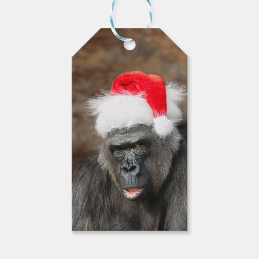 Gorilla Biddy in einem Weihnachtshut Geschenkanhänger (Vorderseite)