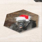 Gorilla Biddy in einem Weihnachtshut Untersetzer (angewinkelt)
