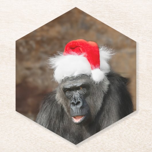 Gorilla Biddy in einem Weihnachtshut Untersetzer (Vorderseite)