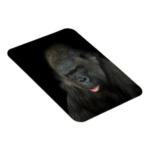 Gorilla Biddy Magnet (Rechte Seite)