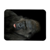 Gorilla Biddy Magnet (Horizontal)