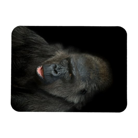 Gorilla Biddy Magnet (Horizontal)