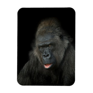 Gorilla Biddy Magnet