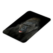 Gorilla Biddy Magnet (Linke Seite)