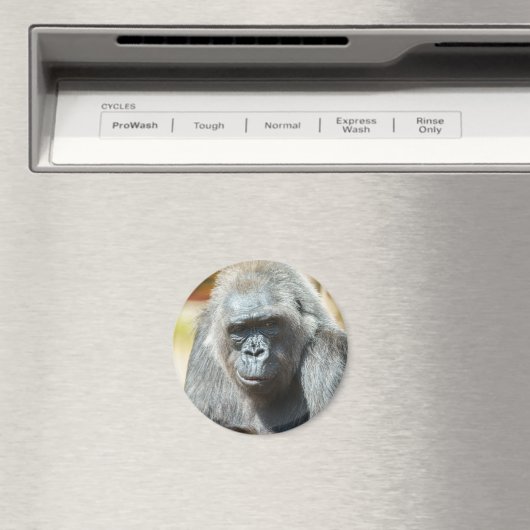 Gorilla Biddy Magnet (In Situ (Geschirrspüler))