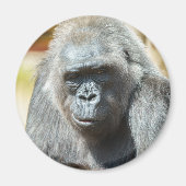 Gorilla Biddy Magnet (Vorne)