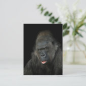 Gorilla Biddy Postkarte (Stehend Vorderseite)