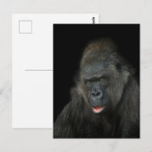 Gorilla Biddy Postkarte (Vorne/Hinten)