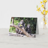 Gorilla Birthday Card Karte (Gelbe Blume)