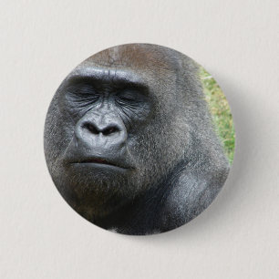 Gorilla-Blick-Knopf Button