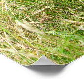 Gorilla Brothers Forever Poster (Ecke)