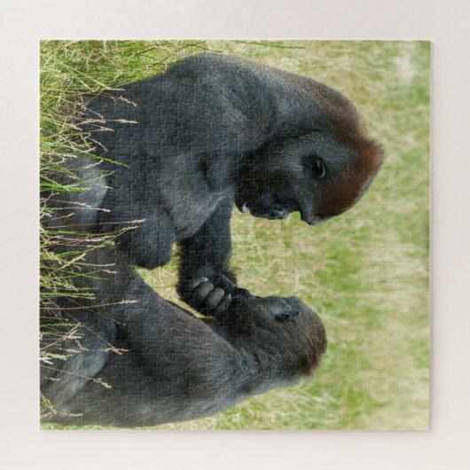 Gorilla Brothers Forever Puzzle (Horizontal)