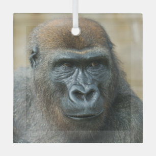 Gorilla Brothers - GoBros Ornament Aus Glas