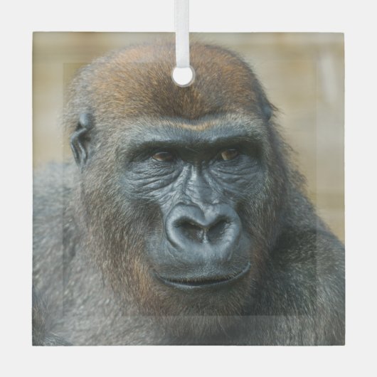 Gorilla Brothers - GoBros Ornament Aus Glas (Vorderseite)