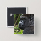 Gorilla Captive Button (Vorne & Hinten)