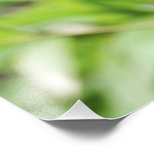 Gorilla Captive Fotodruck (Ecke)