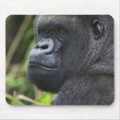 Gorilla Captive Mousepad (Vorne)