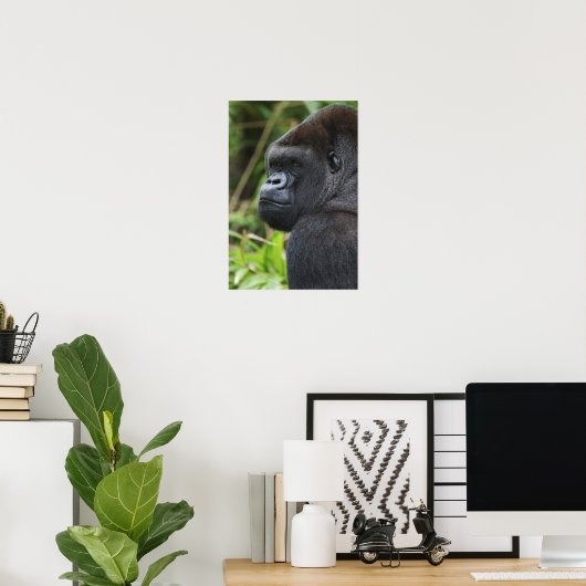 Gorilla Captive Poster (Heimbüro)