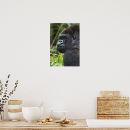 Gorilla Captive Poster (Küche)