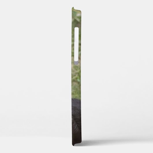 Gorilla Case-Mate iPhone Hülle (Rückseite / Links)