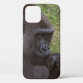 Gorilla Case-Mate iPhone Hülle (Rückseite)