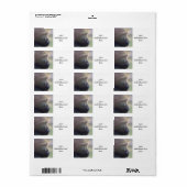 Gorilla Daydream Adressaufkleber (Vorne)