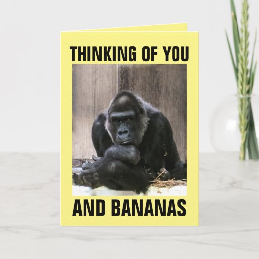 GORILLA DENKT, DASS DU GREETING CARDS GIBT KARTE (Vorderseite)