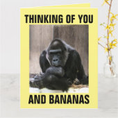 GORILLA DENKT, DASS DU GREETING CARDS GIBT KARTE (Gelbe Blume)