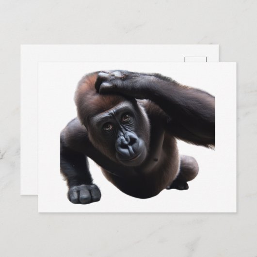 Gorilla doing push-ups. postkarte (Vorne/Hinten)
