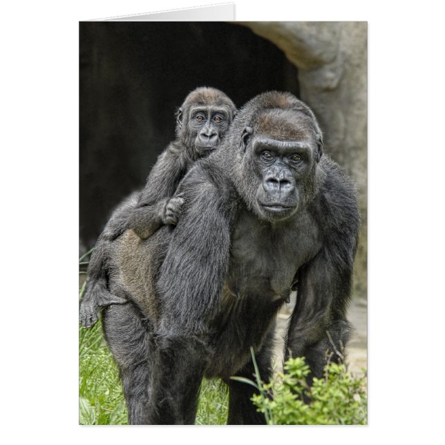 Gorilla-"Doppelpol" Mamma und Baby #1 (Vorne)
